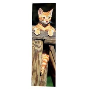 Vintage 90s "European Cat" Bookmark- Adriano Bacchella- LEM Milano Italy KBM1024